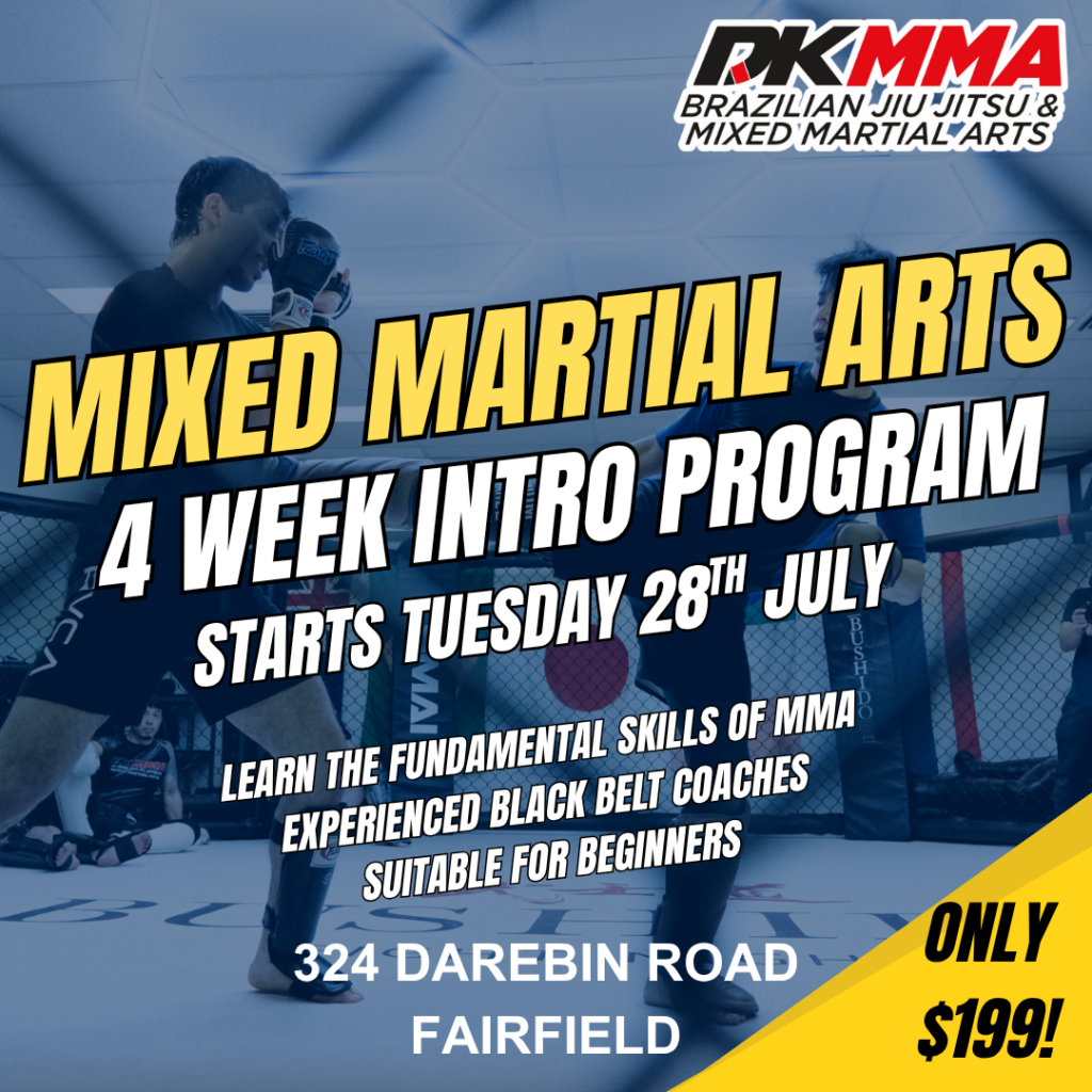MMA Intro Course