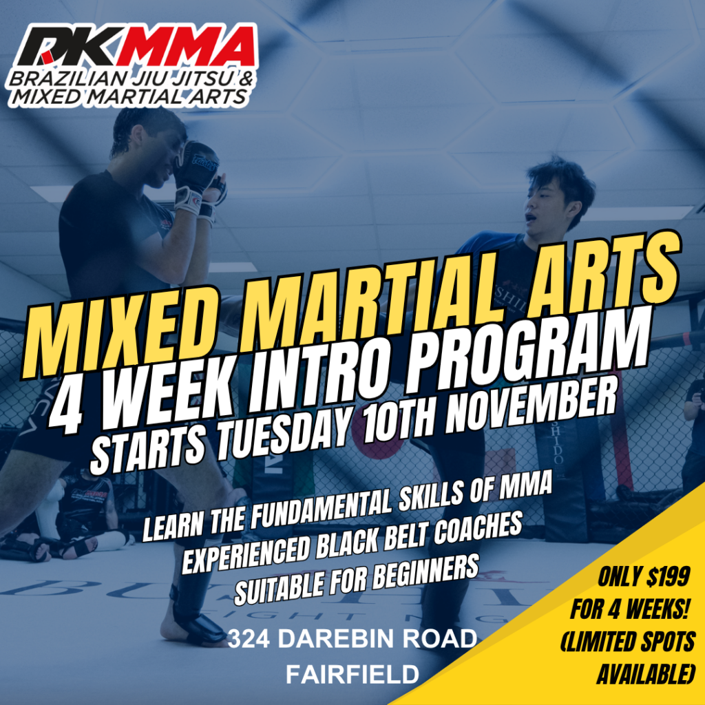 MMA Intro Program